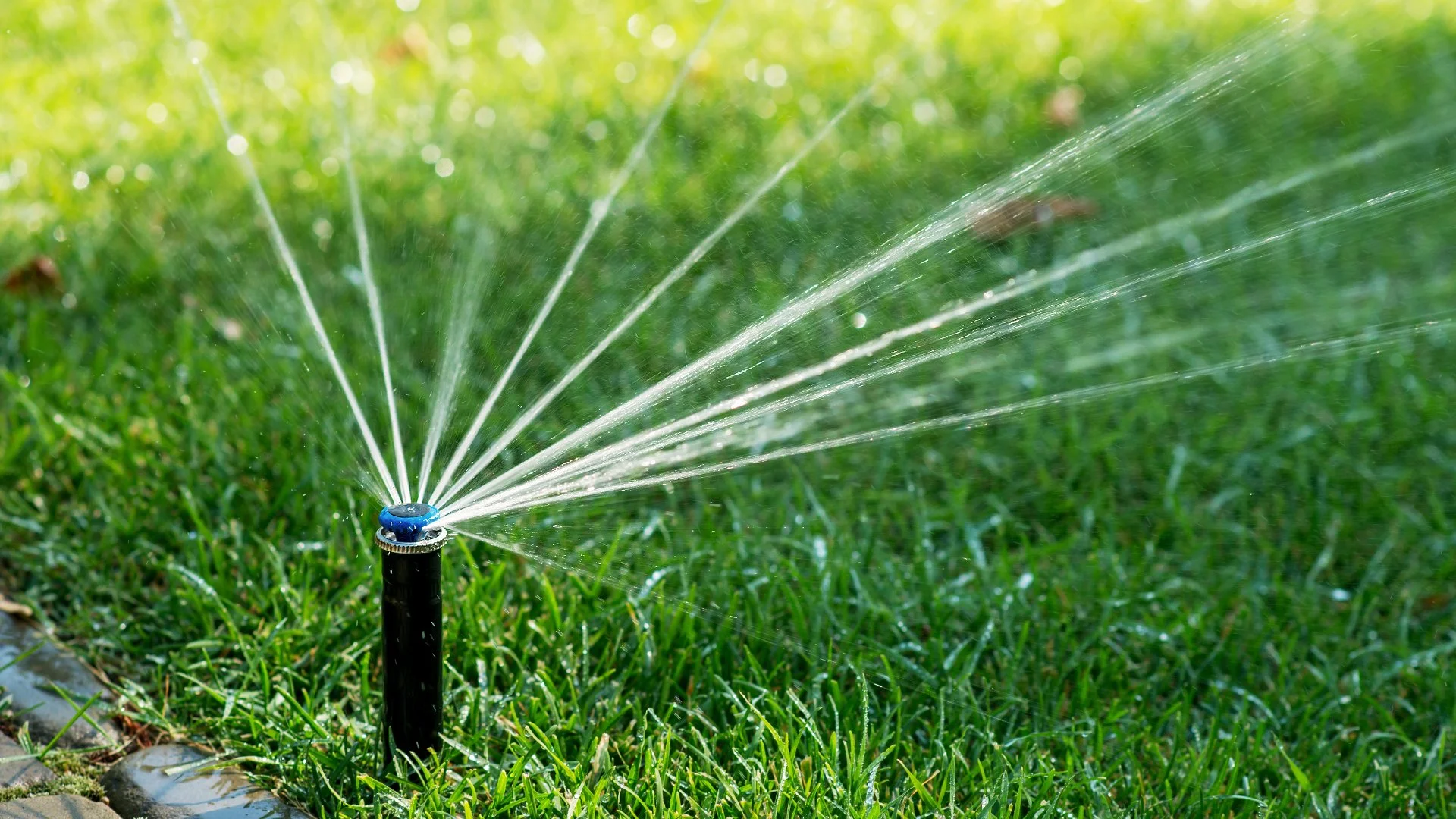 Don’t Have an Irrigation System? It’s Time to Invest in One!