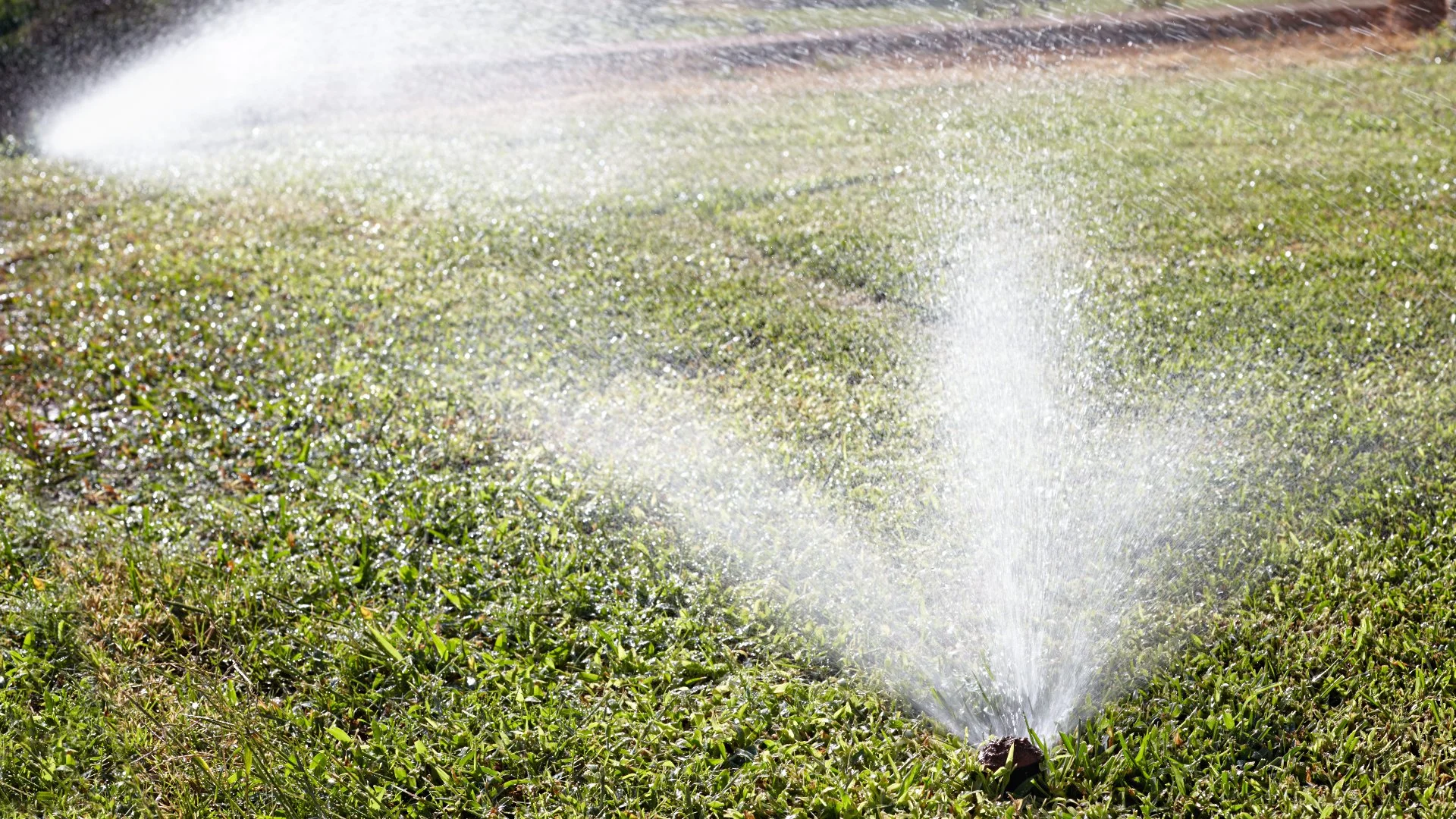 Drip Irrigation vs Sprinkler Systems - Which Is Right for Your Property?