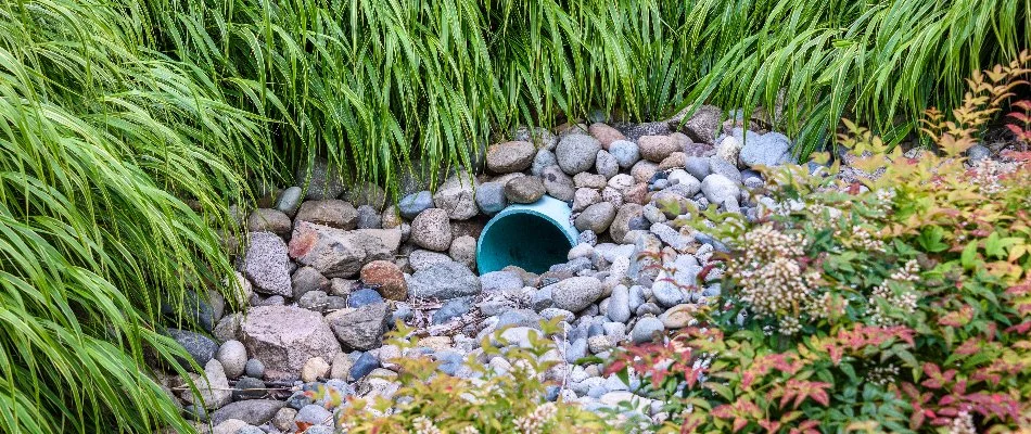 End of a French drain with rocks and grass in West Palm Beach, FL.