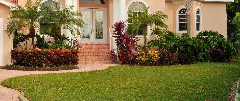 Landscape in Coconut Creek, FL, with healthy plants near a green lawn.