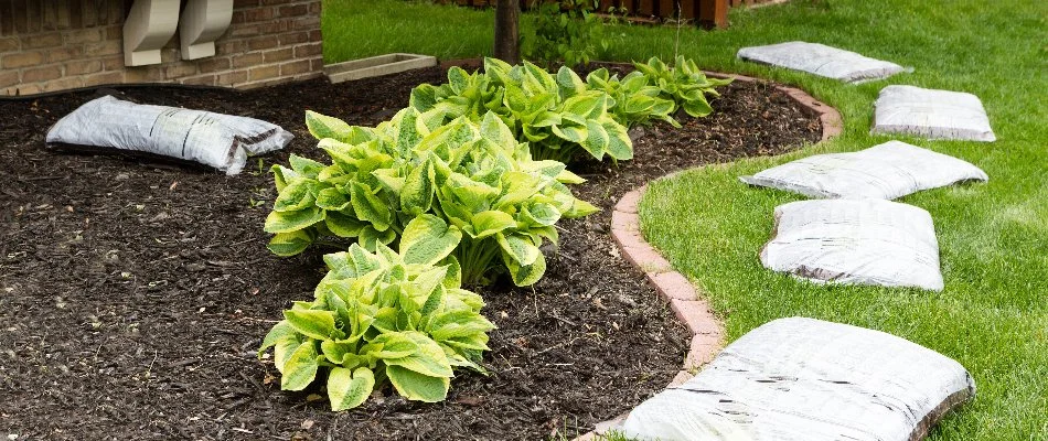 Landscaping bed in West Palm Beach, FL, with mulch.