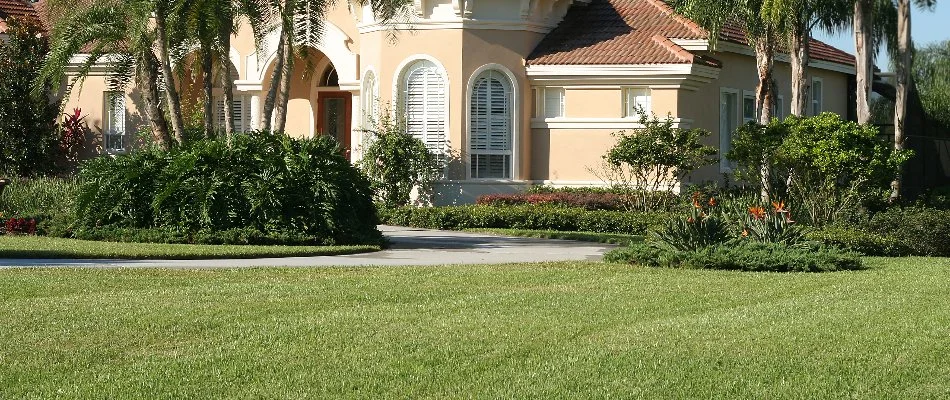 Neat lawn and a landscape in Delray Beach, FL, with tropical plants.