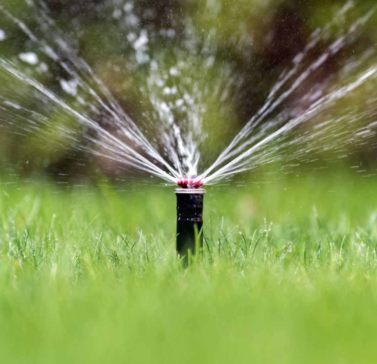 Evergreen Sprinkler & Irrigation Services