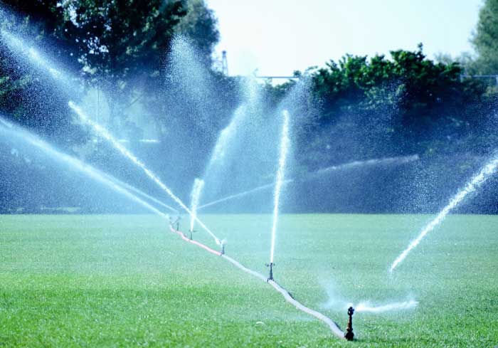  Rust Service Maintenance Contracts by Evergreen Sprinkler and Landscape: Protect Your South Florida Property